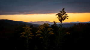 OUTDOORS NOTEBOOK: What are our favorite spots to hike in and around West Virginia?